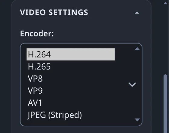 The encoder menu in Video Settings: H.264, H.265, VP8, VP9, AV1, and JPEG